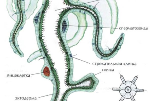 Работающий сайт кракен