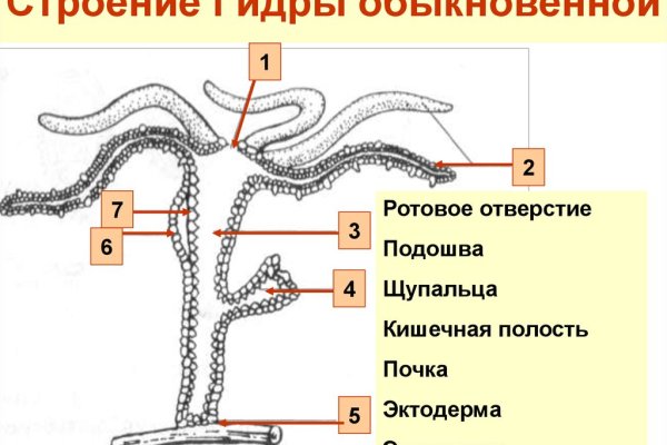 Сайт кракен официальный ссылка onion