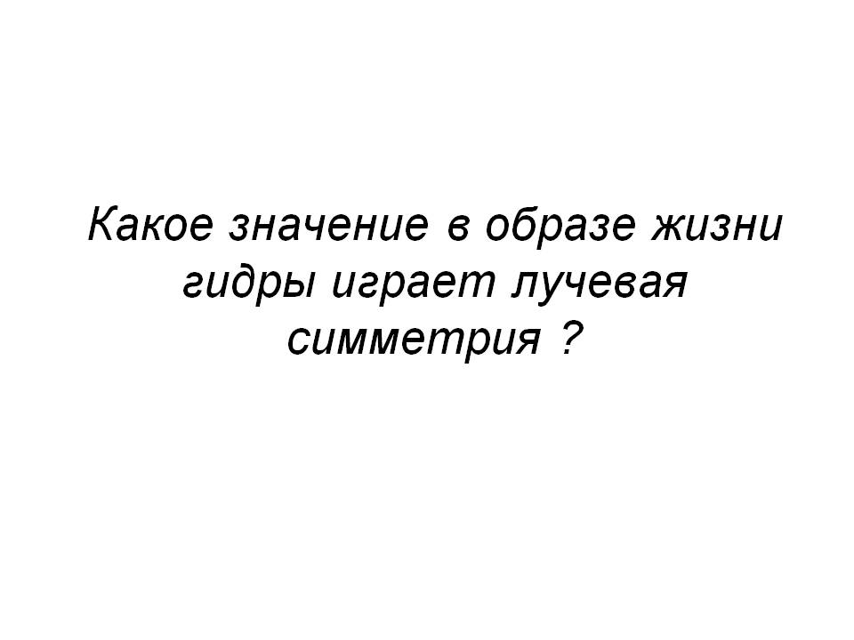 Не могу зайти на сайт кракен