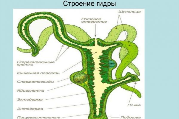 Кракен даркнет маркет плейс